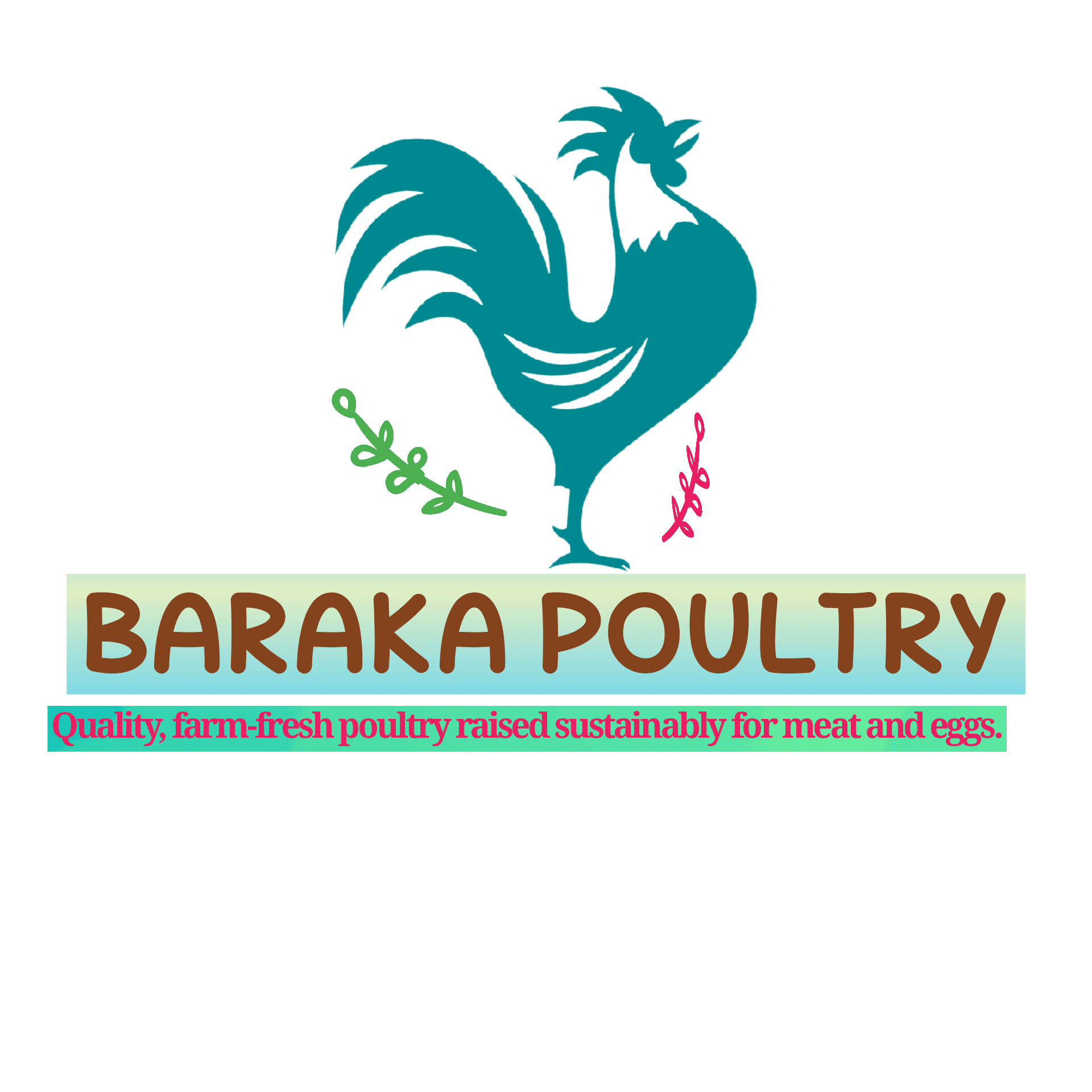 BARAKA POULTRY